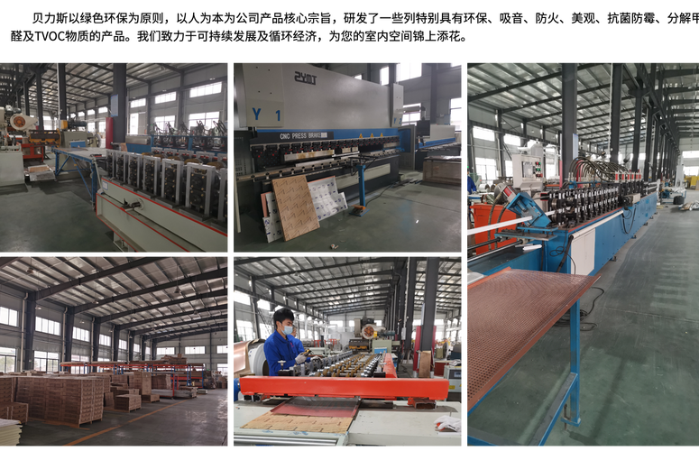 公司介绍_贝力斯